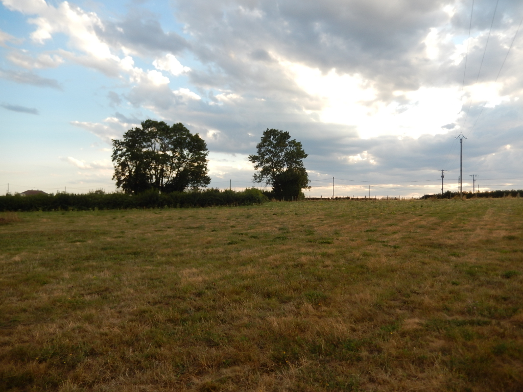 Vente Terrain de 2608 m² - ANTULLY 71400 | IMOGROUP LE CREUSOT - IMOGROUP photo4
