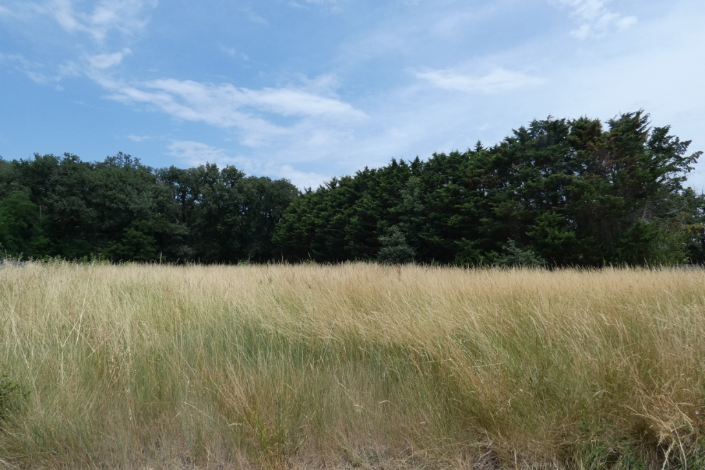 Vente Terrain de 820 m² - CASTELNAUDARY 11400 | IMOGROUP CASTELNAUDARY - IMOGROUP photo1