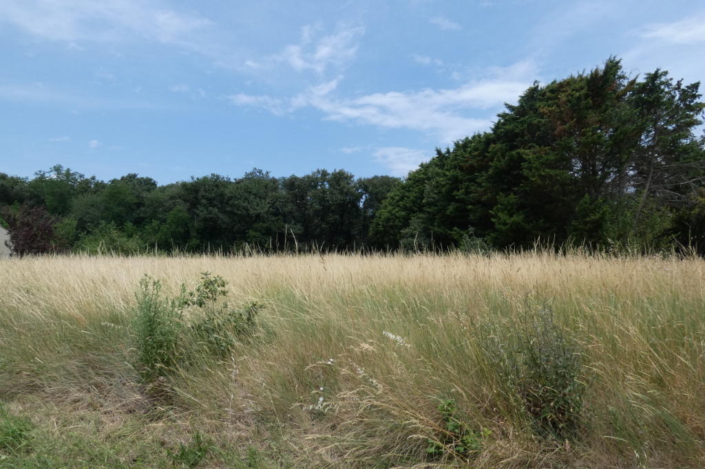 Vente Terrain de 520 m² - CASTELNAUDARY 11400 | IMOGROUP CASTELNAUDARY - IMOGROUP photo1