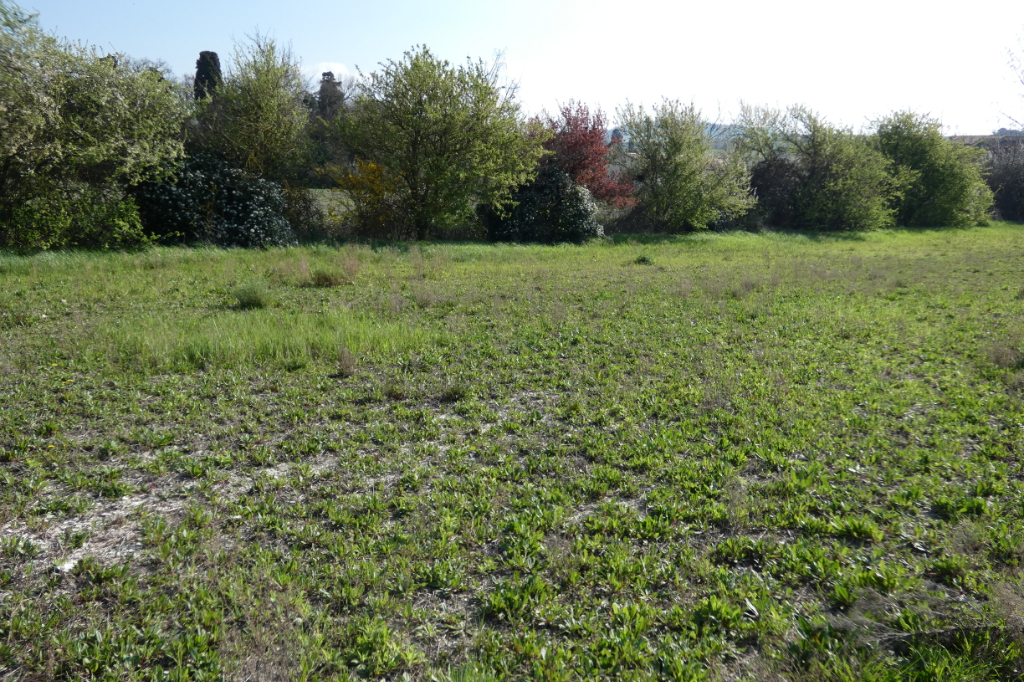 Terrain Castelnaudary 438m²