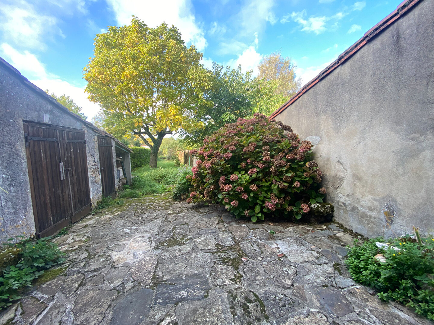 Photo Proche Revel, maison de charme avec jardin image 2/6