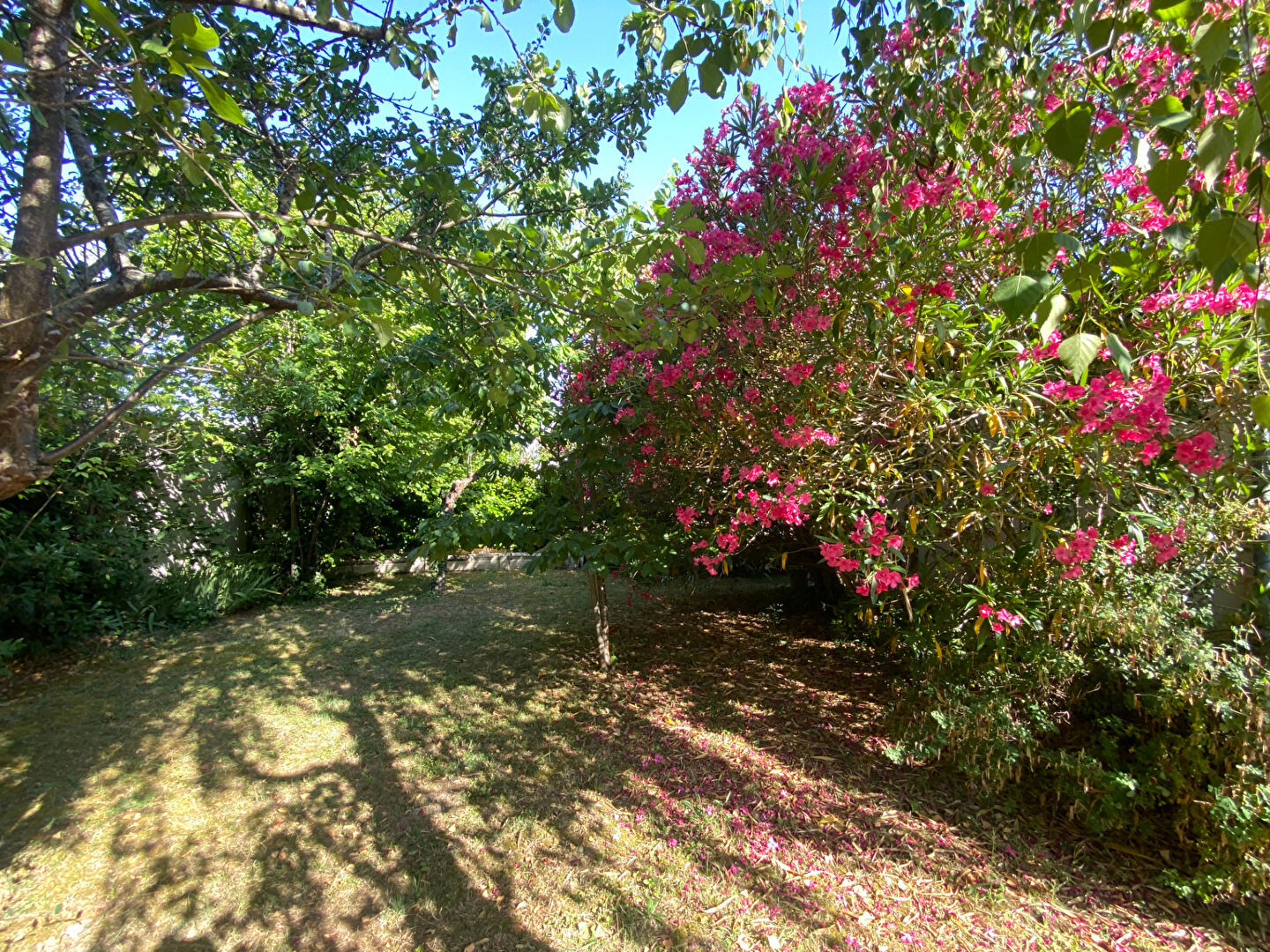 Vente Maison de 5 pièces 100 m² - CASTELNAUDARY 11400 | IMOGROUP CASTELNAUDARY - IMOGROUP photo6