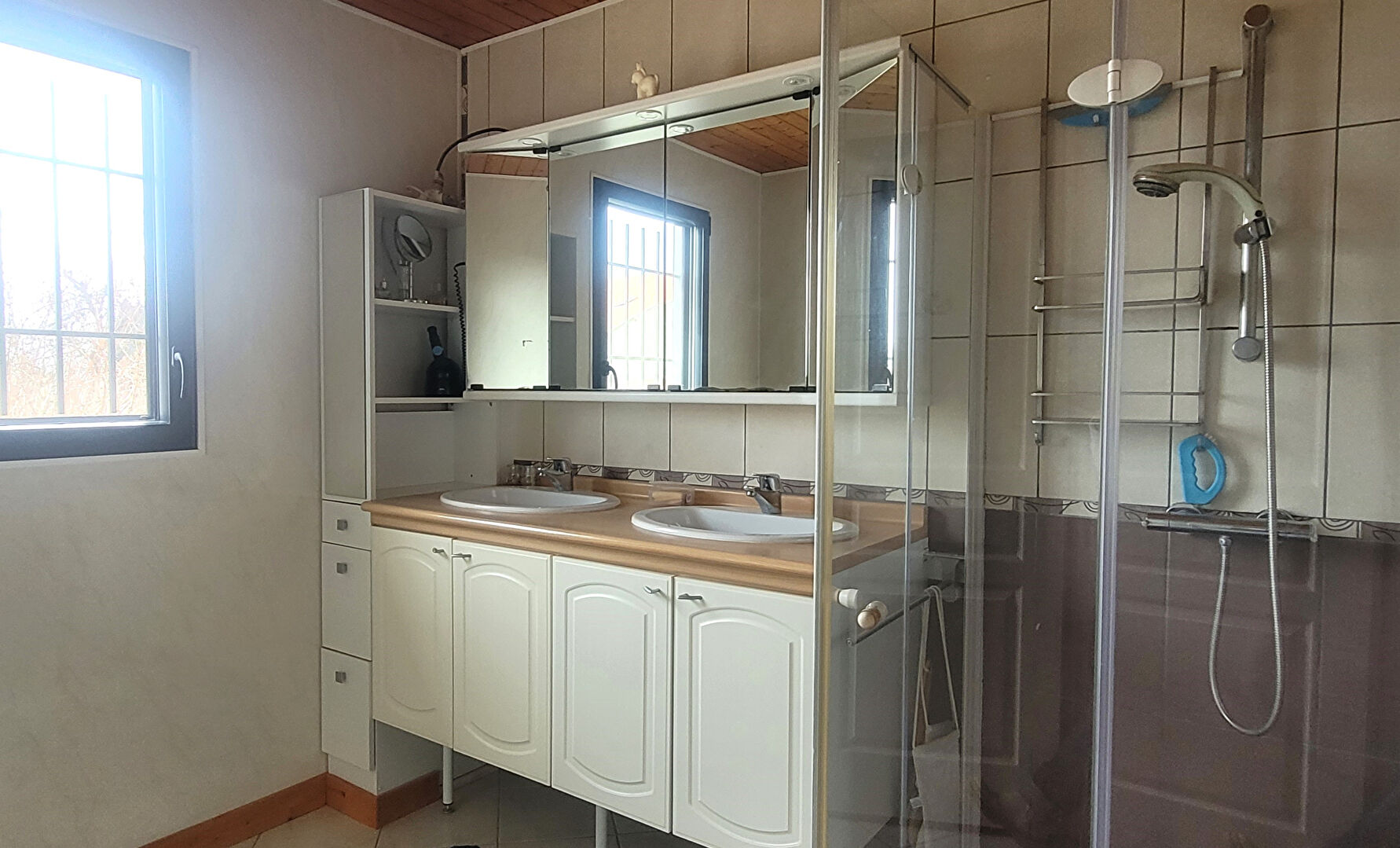 Photo Maison Valserhone 124 m2 annexe de 58m2 terrain de 1493m2 image 5/6