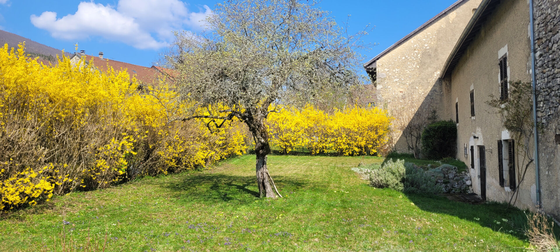 Agence immobilière de IMOGROUP site global - Imogroup Chatillon en Michaille