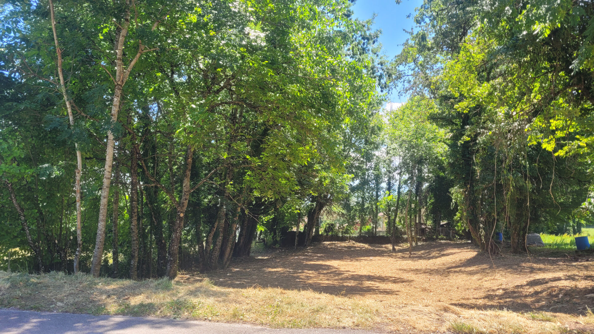 Agence immobilière de IMOGROUP site global - Imogroup Chatillon en Michaille