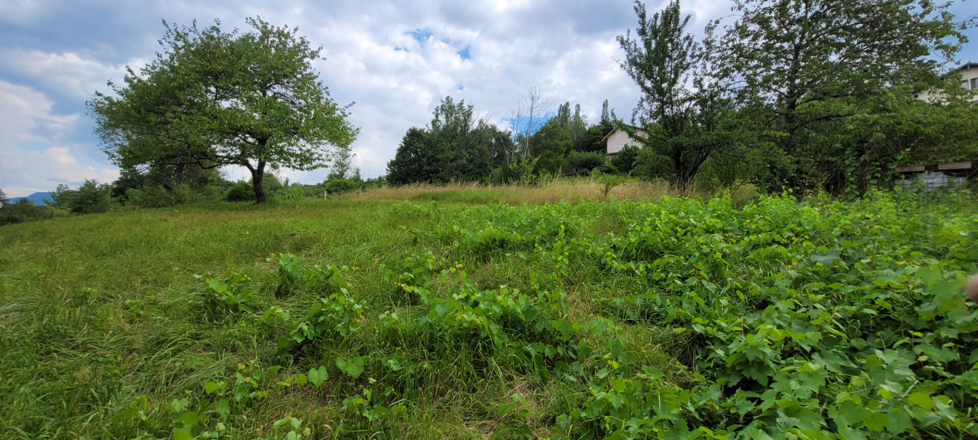 Agence immobilière de IMOGROUP site global - Imogroup Chatillon en Michaille
