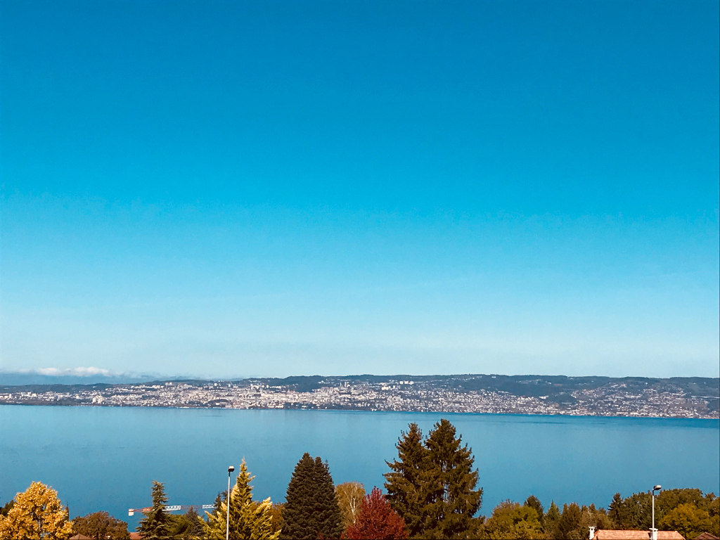 Vente Terrain de 3775 m² - NEUVECELLE 74500 | IMOGROUP EVIAN - IMOGROUP photo1