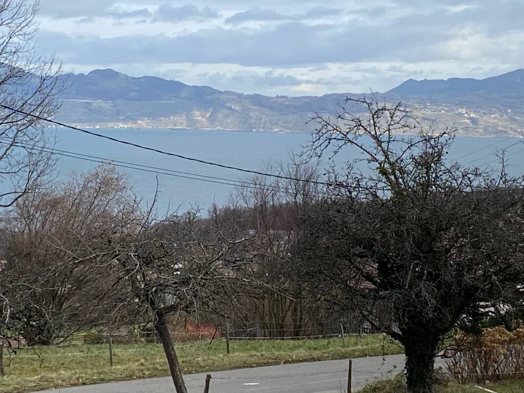 Vente Maison de 5 pièces 120 m² - LUGRIN 74500 | IMOGROUP EVIAN - IMOGROUP photo2