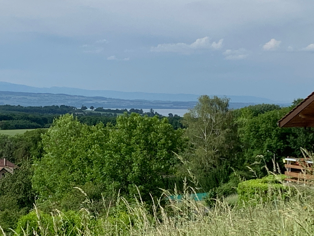 Vente Terrain de 1695 m² - MASSONGY 74140 | IMOGROUP DOUVAINE - IMOGROUP photo3