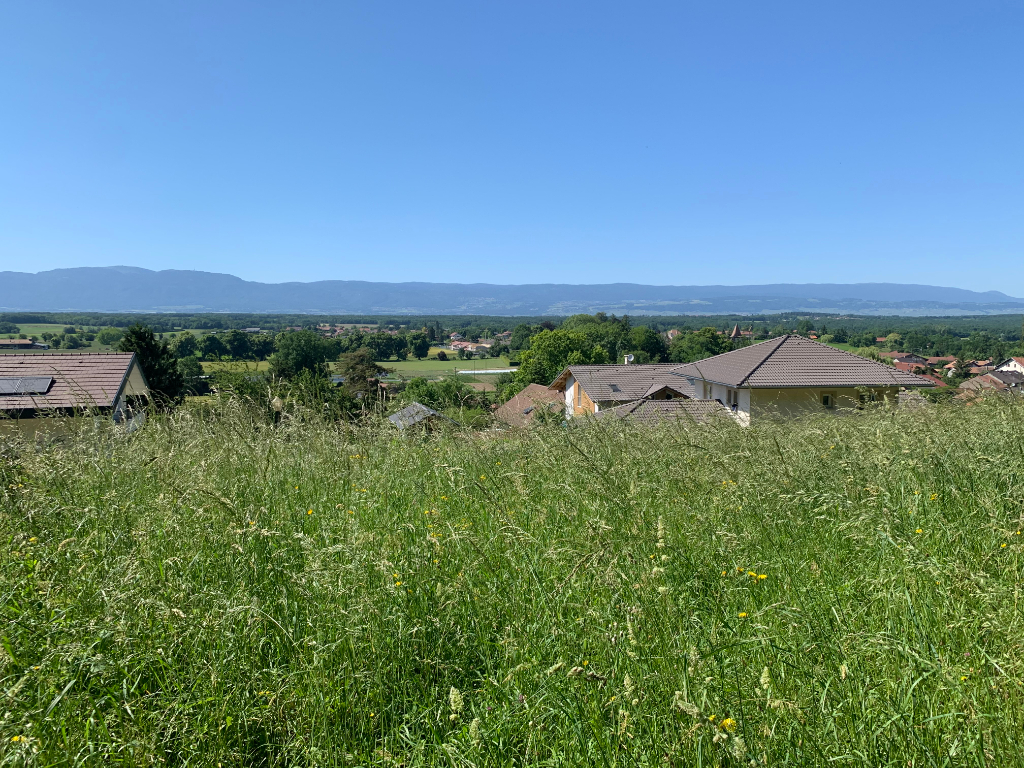 Vente Terrain de 1396 m² - MASSONGY 74140 | IMOGROUP DOUVAINE - IMOGROUP photo3