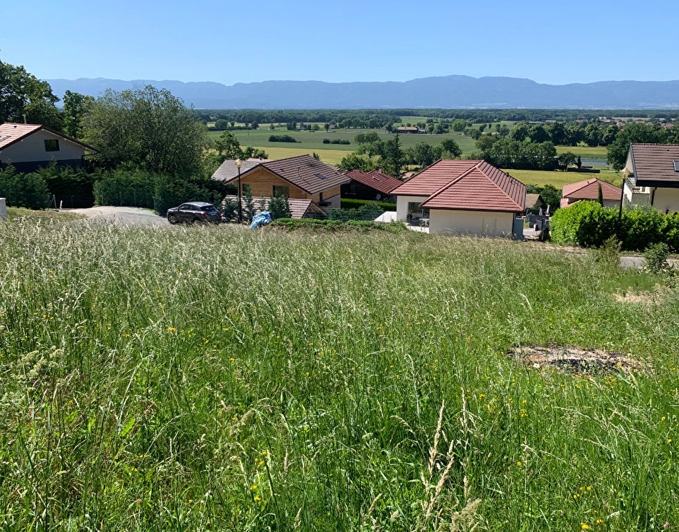 Vente Terrain de 1580 m² - MASSONGY 74140 | IMOGROUP DOUVAINE - IMOGROUP photo2