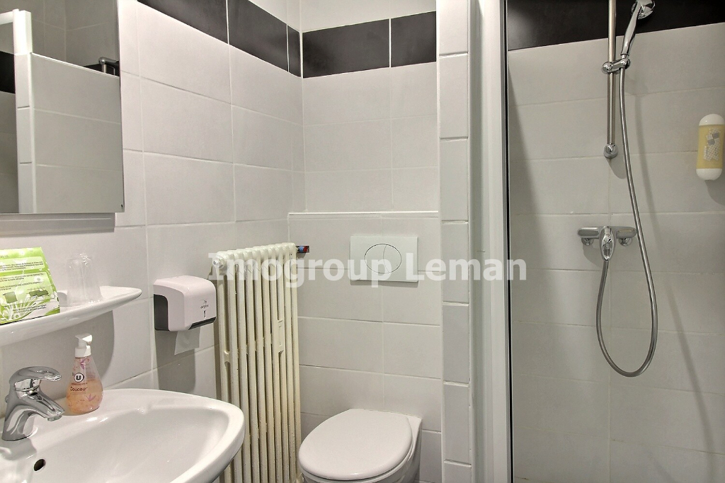 Vente Local de 22 pièces 600 m² - DOUVAINE 74140 | IMOGROUP DOUVAINE - IMOGROUP photo8