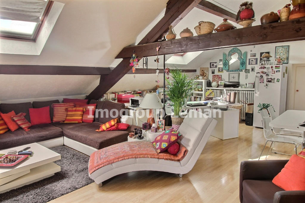 Vente Local de 22 pièces 600 m² - DOUVAINE 74140 | IMOGROUP DOUVAINE - IMOGROUP photo12