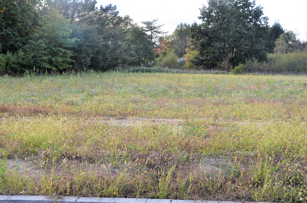 Vente Terrain de 712 m² - BRIATEXTE 81390 | IMOGROUP ST SULPICE - IMOGROUP photo1