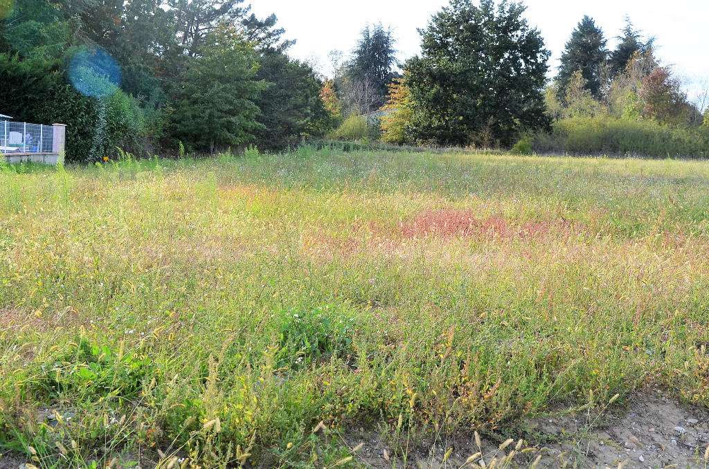 Vente Terrain de 653 m² - BRIATEXTE 81390 | IMOGROUP ST SULPICE - IMOGROUP photo1