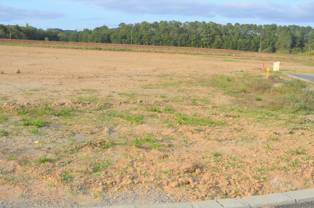 Vente Terrain de 482 m² - BRIATEXTE 81390 | IMOGROUP ST SULPICE - IMOGROUP photo1