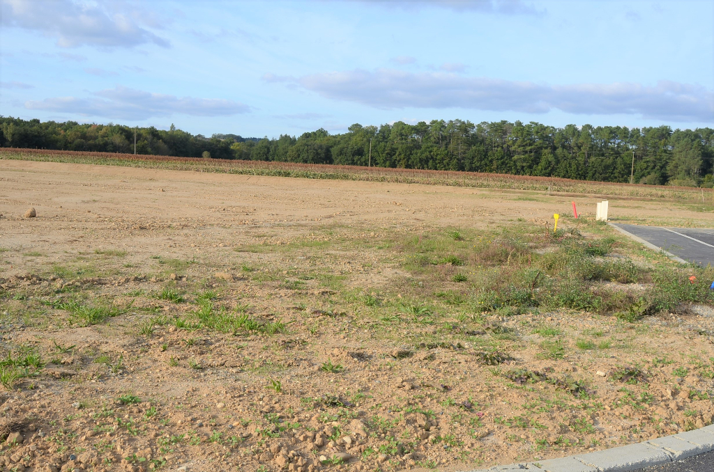 Vente Terrain de 482 m² - BRIATEXTE 81390 | IMOGROUP ST SULPICE - IMOGROUP photo2