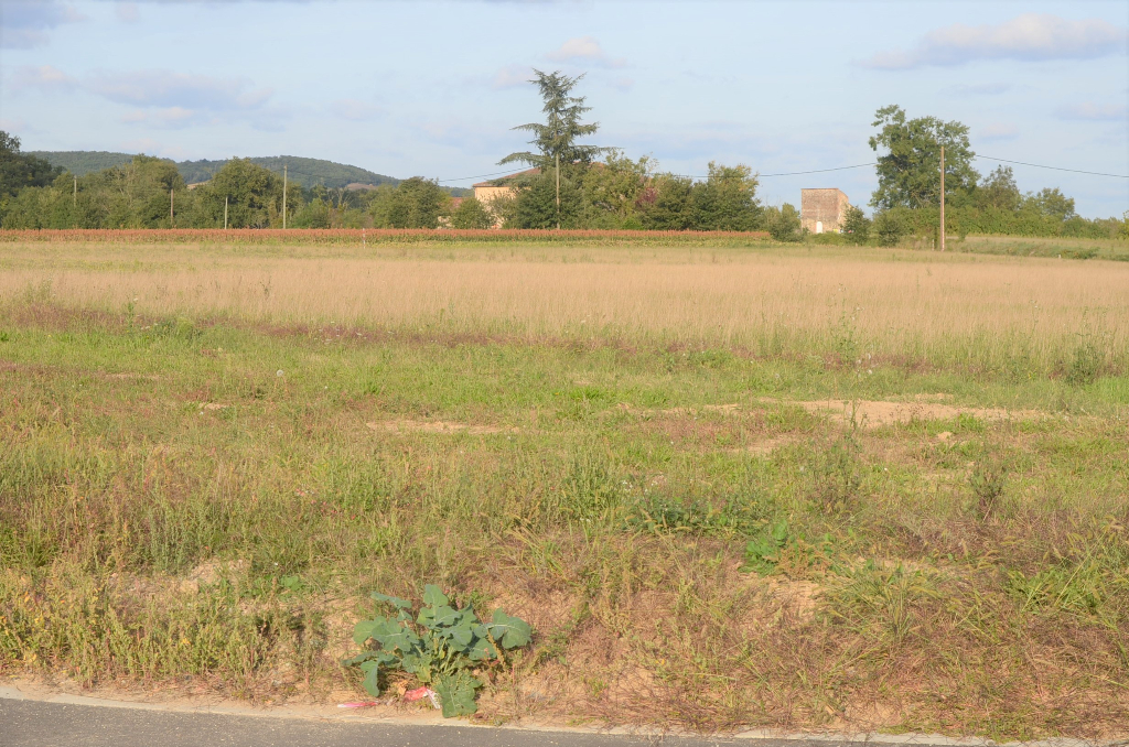 Vente Terrain de 1 m² - BRIATEXTE 81390 | IMOGROUP ST SULPICE - IMOGROUP photo3