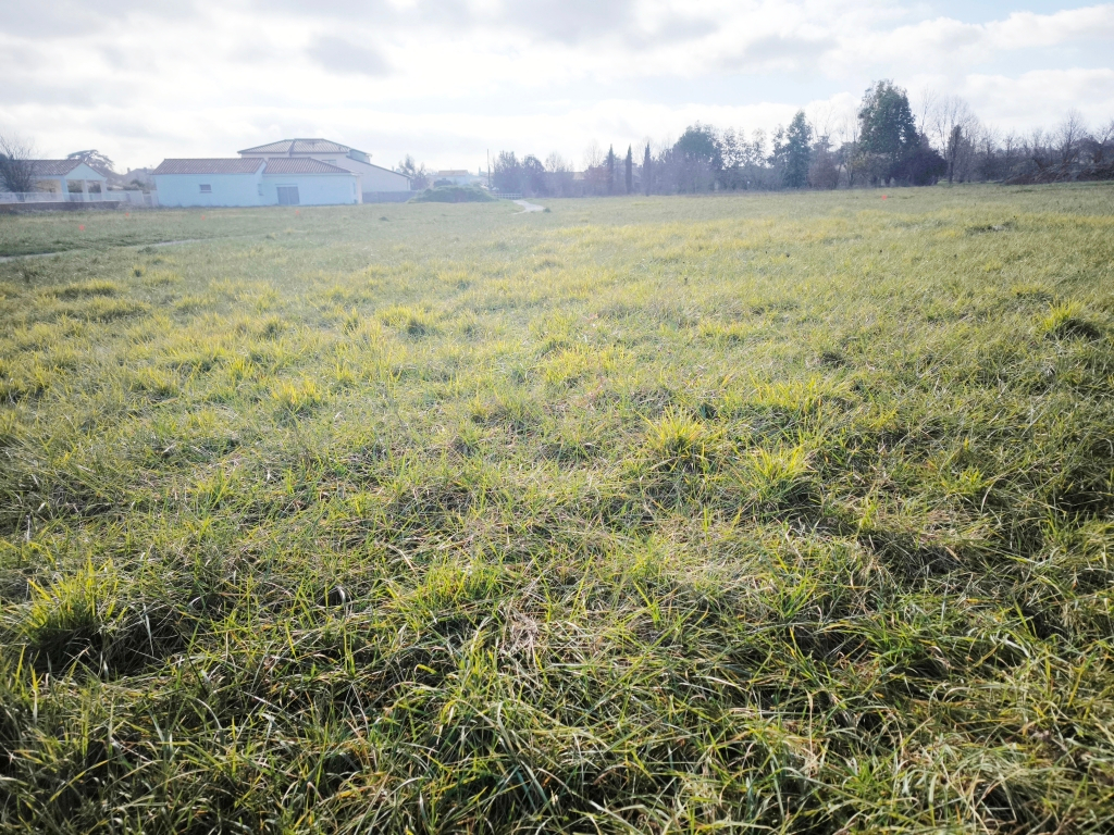 Agence immobilière de IMOGROUP site global - Imogroup Saint Sulpice