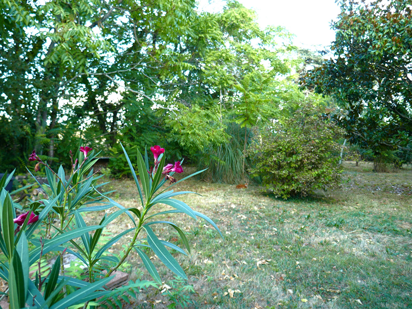 Vente Maison de 6 pièces 400 m² - LISLE SUR TARN 81310 | IMOGROUP ST SULPICE - IMOGROUP photo9