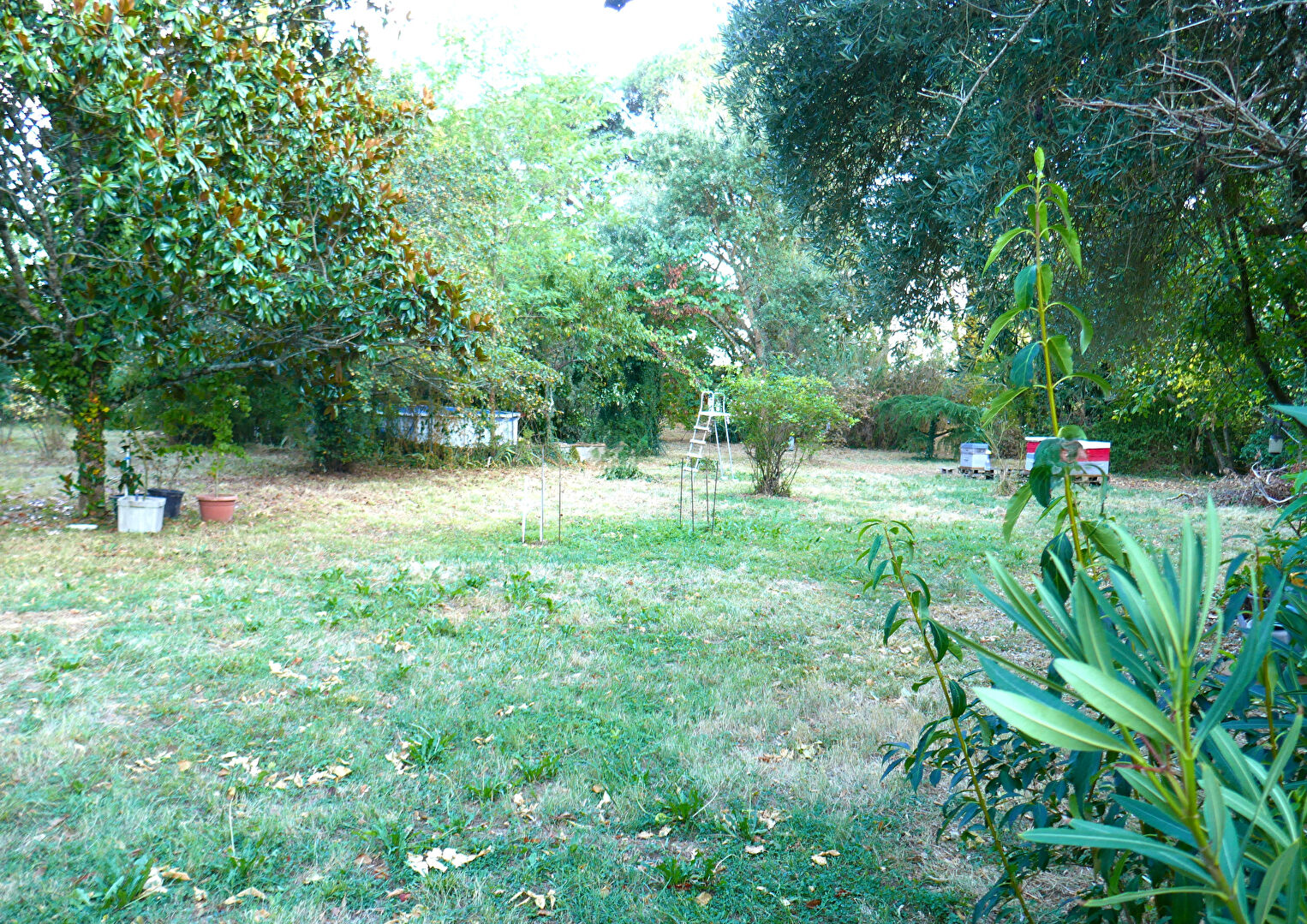 Vente Maison de 6 pièces 400 m² - LISLE SUR TARN 81310 | IMOGROUP ST SULPICE - IMOGROUP photo11