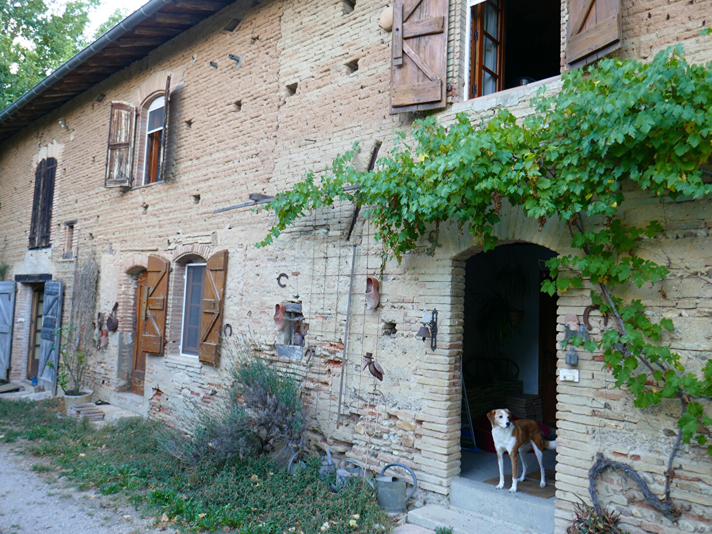 Vente Maison de 6 pièces 400 m² - LISLE SUR TARN 81310 | IMOGROUP ST SULPICE - IMOGROUP photo12