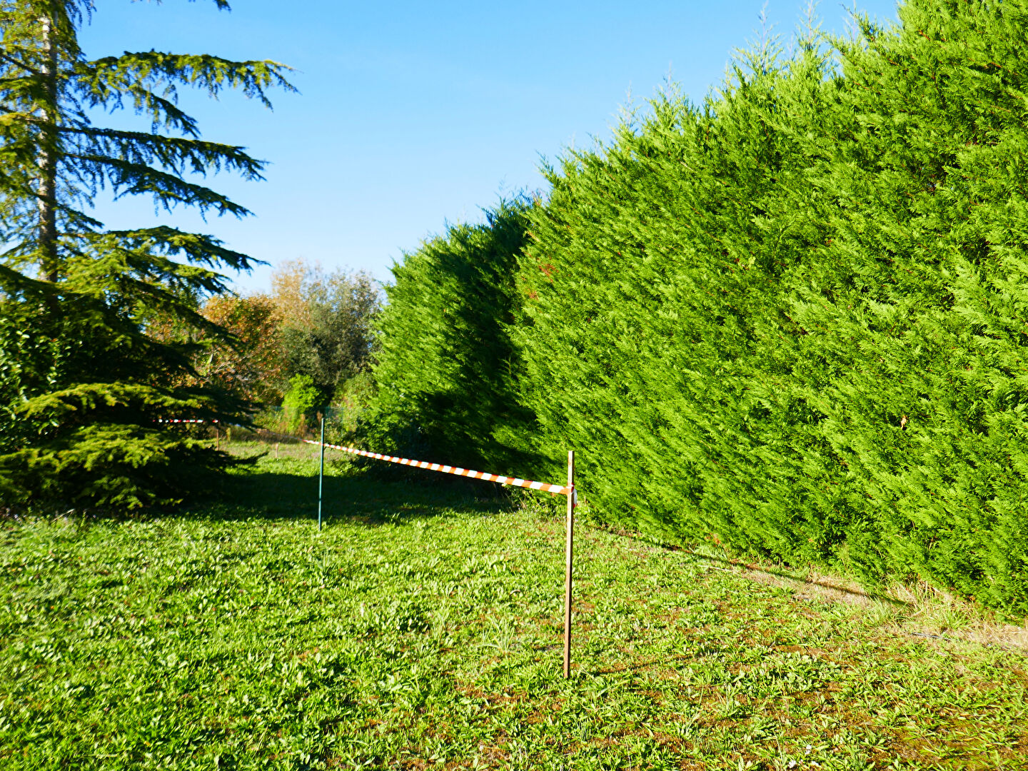 Photo Lisle sur Tarn Beau terrain à bâtir de 743 m2 centre ville viabilisé et au grand calme image 2/6