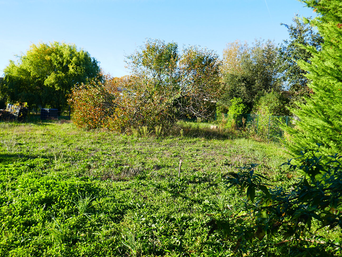 Photo Lisle sur Tarn Beau terrain à bâtir de 743 m2 centre ville viabilisé et au grand calme image 4/6