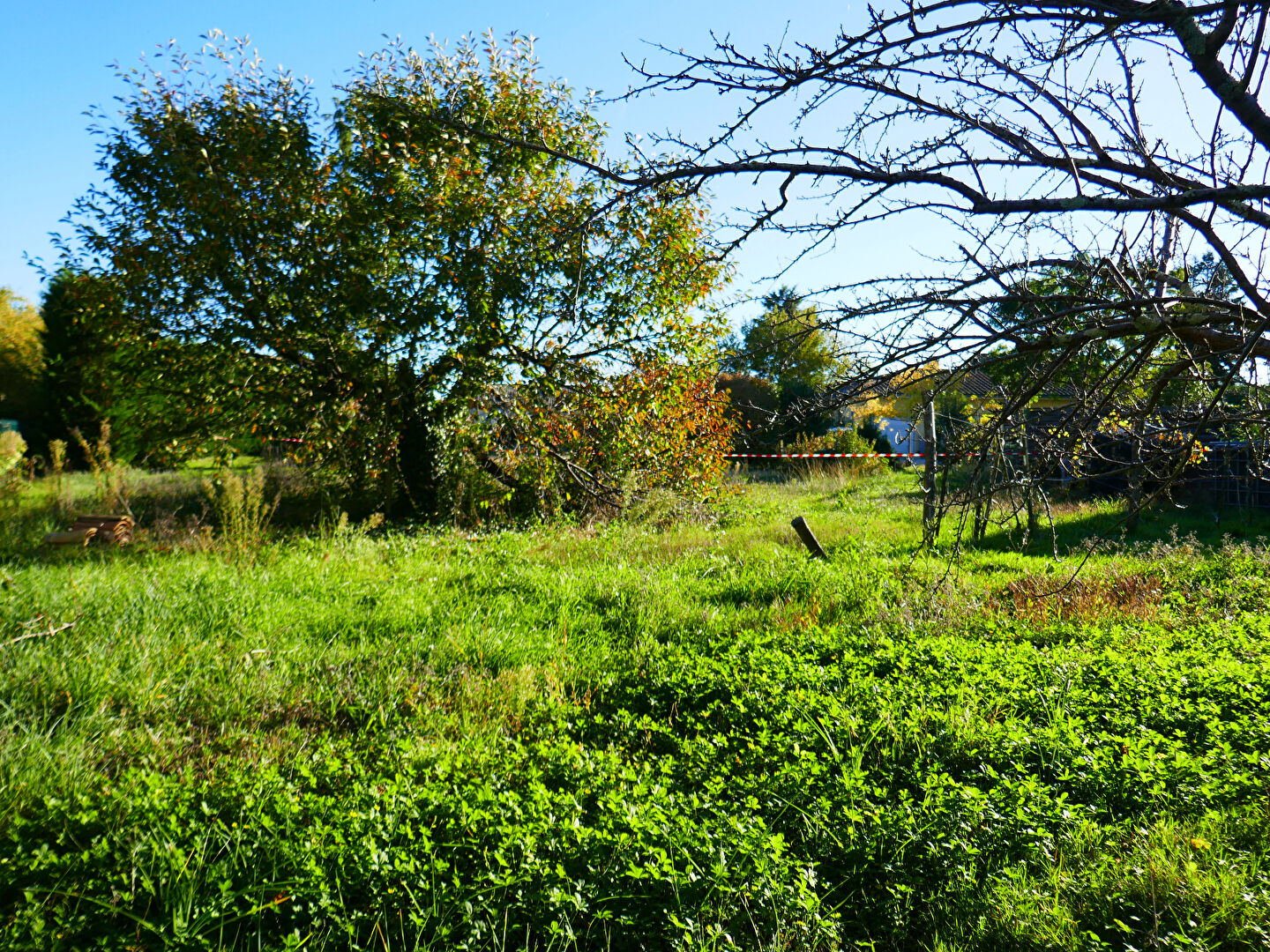 Photo Lisle sur Tarn Beau terrain à bâtir de 743 m2 centre ville viabilisé et au grand calme image 5/6