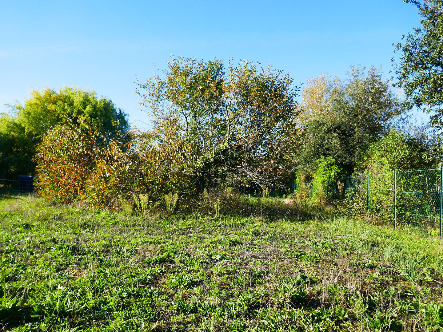 Photo Lisle sur Tarn Beau terrain à bâtir de 743 m2 centre ville viabilisé et au grand calme image 6/6