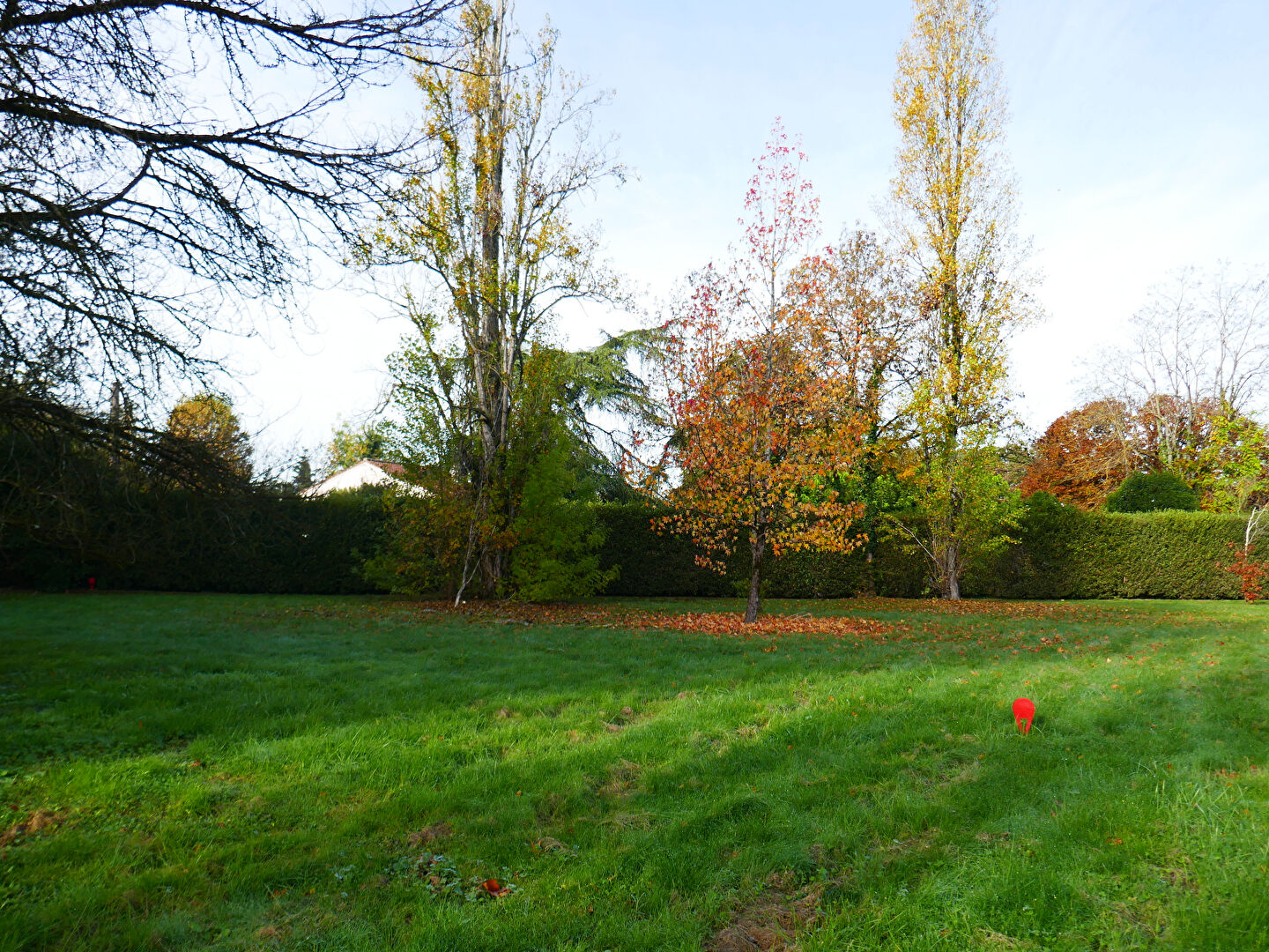 SAINT LIEUX LES LAVAUR - Terrain à bâtir de 818m²
