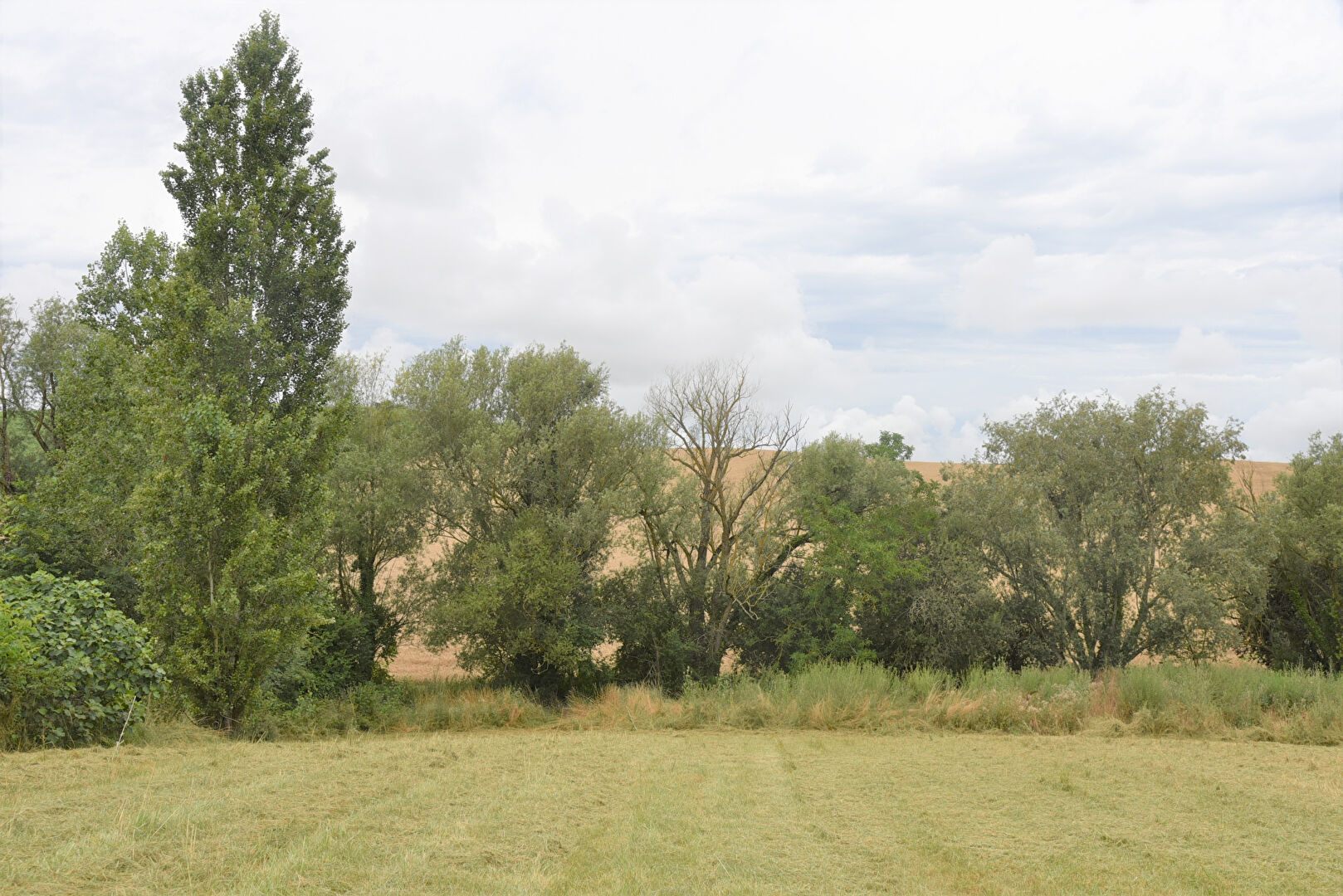 Agence immobilière de IMOGROUP site global - Imogroup Saint Sulpice