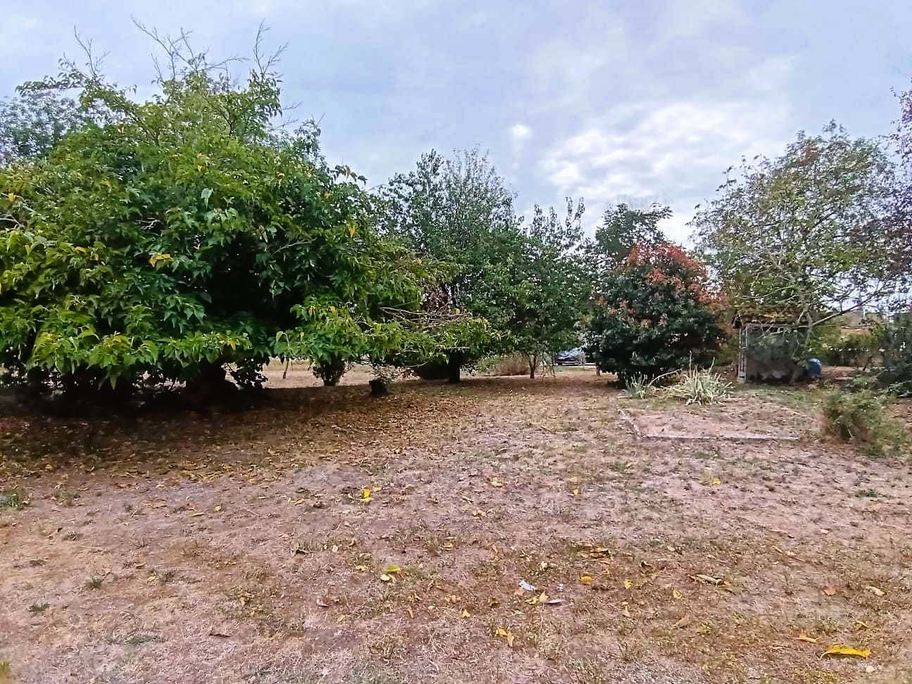 31340 vacquiers · 98 000 €