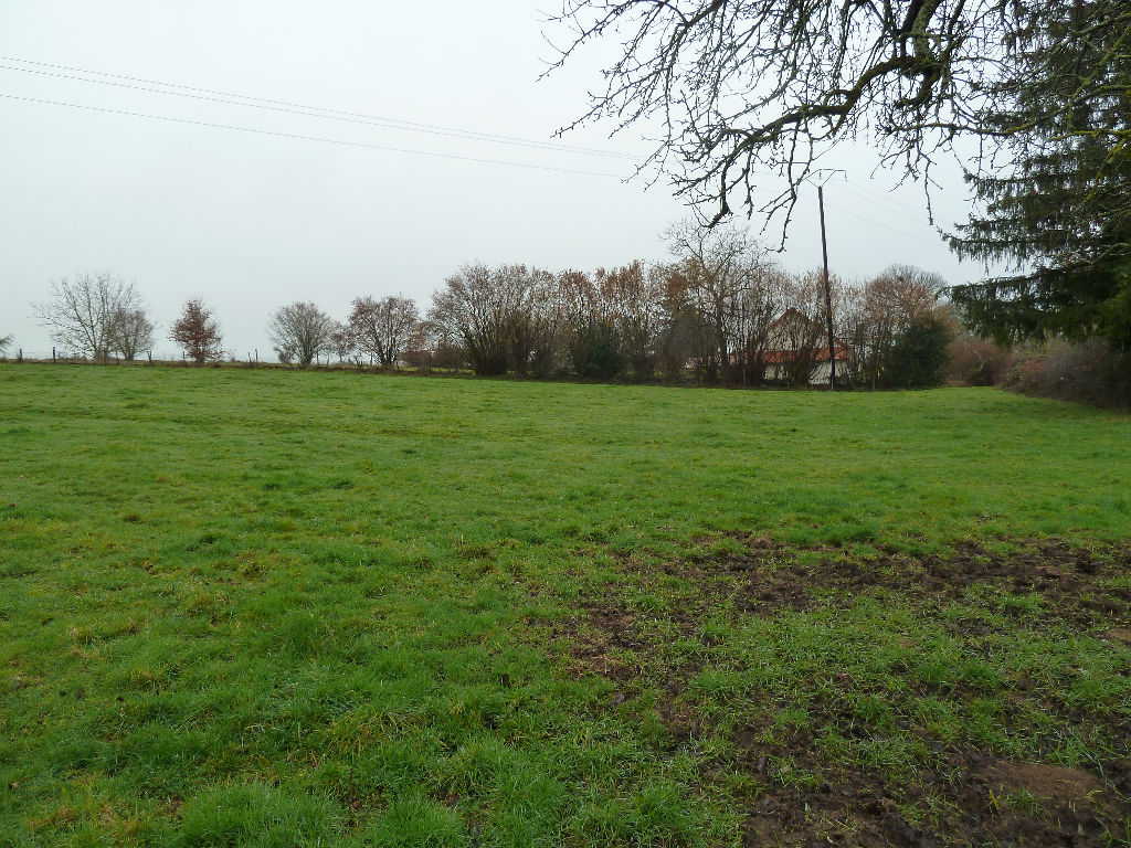 Vente Terrain de 1829 m² - LE BREUIL 03120 | IMOGROUP LAPALISSE - IMOGROUP photo2