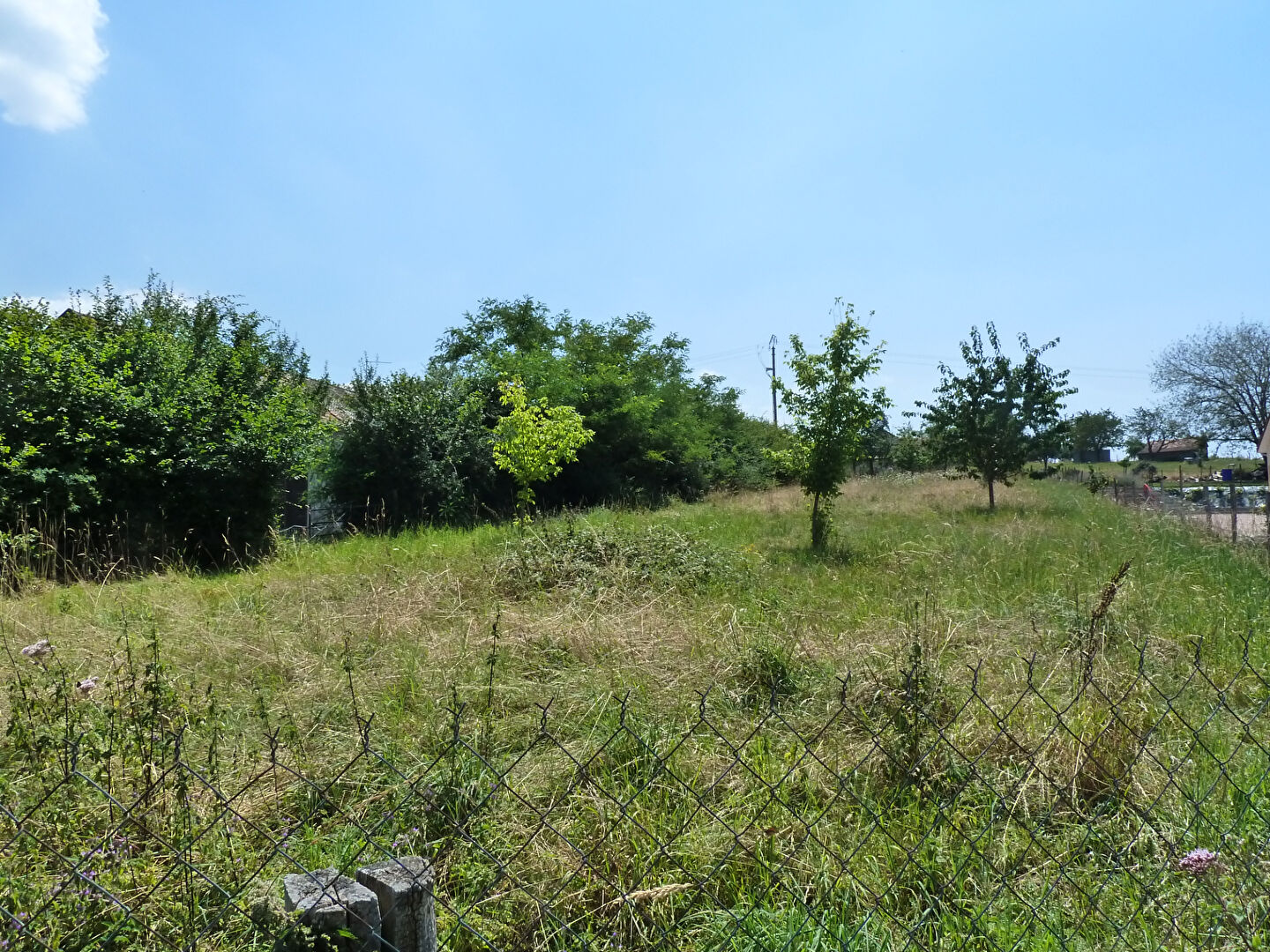 Vente Terrain de 1920 m² - LE BREUIL 03120 | IMOGROUP LAPALISSE - IMOGROUP photo3