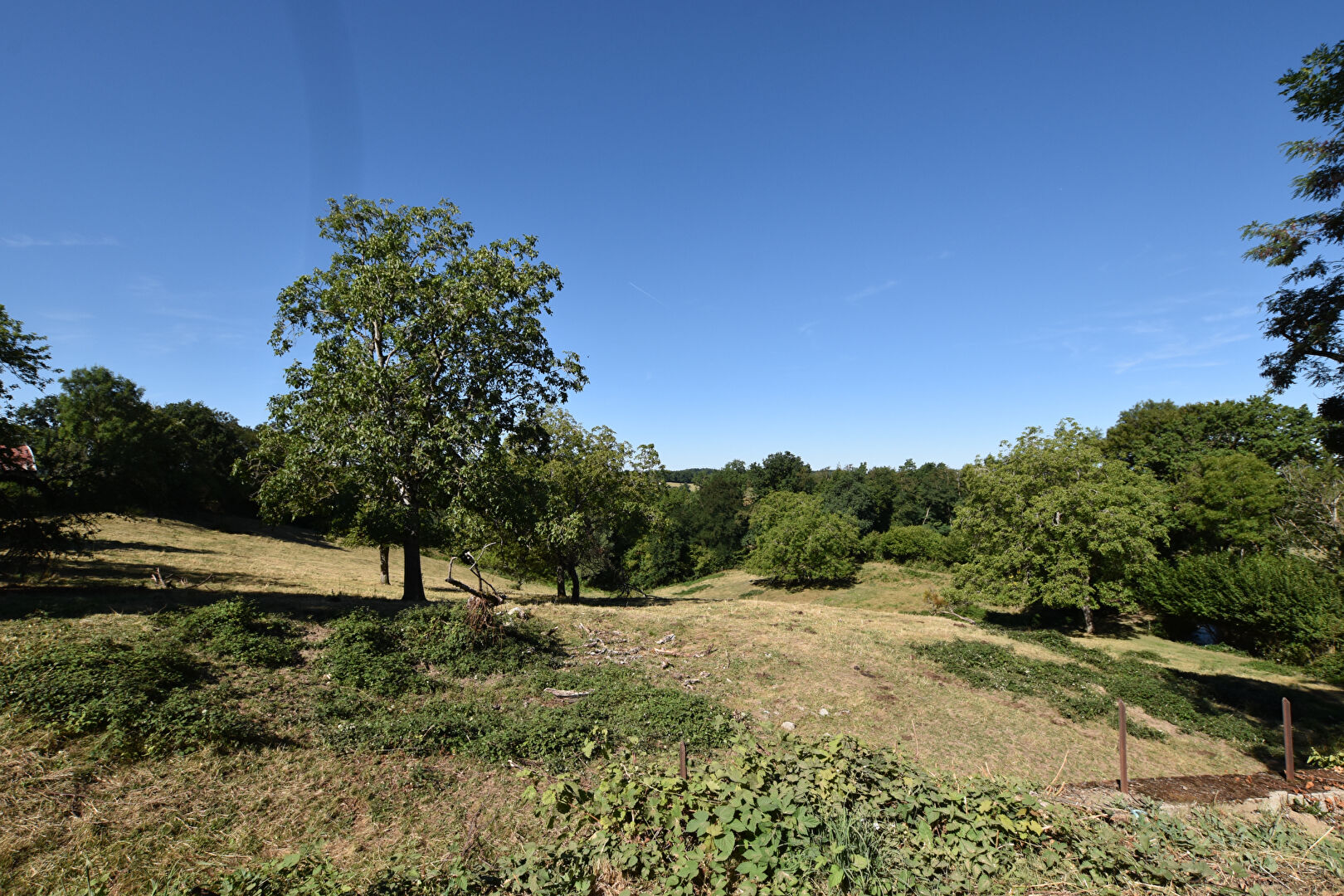 Photo SUR 2 HA ! image 3/6