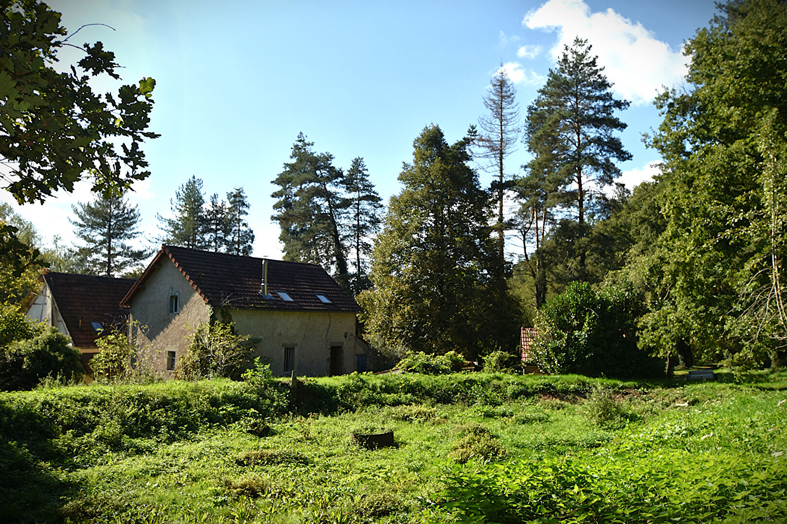 Vente Maison de 9 pièces 153 m² - BERT 03130 | IMOGROUP LAPALISSE - IMOGROUP photo7