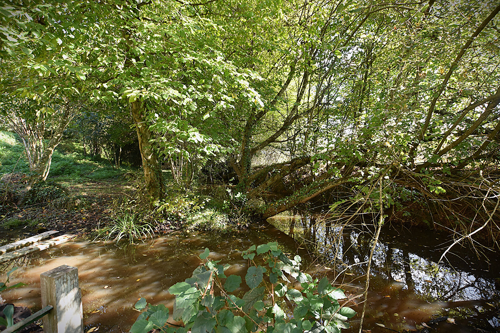 Vente Maison de 9 pièces 153 m² - BERT 03130 | IMOGROUP LAPALISSE - IMOGROUP photo10