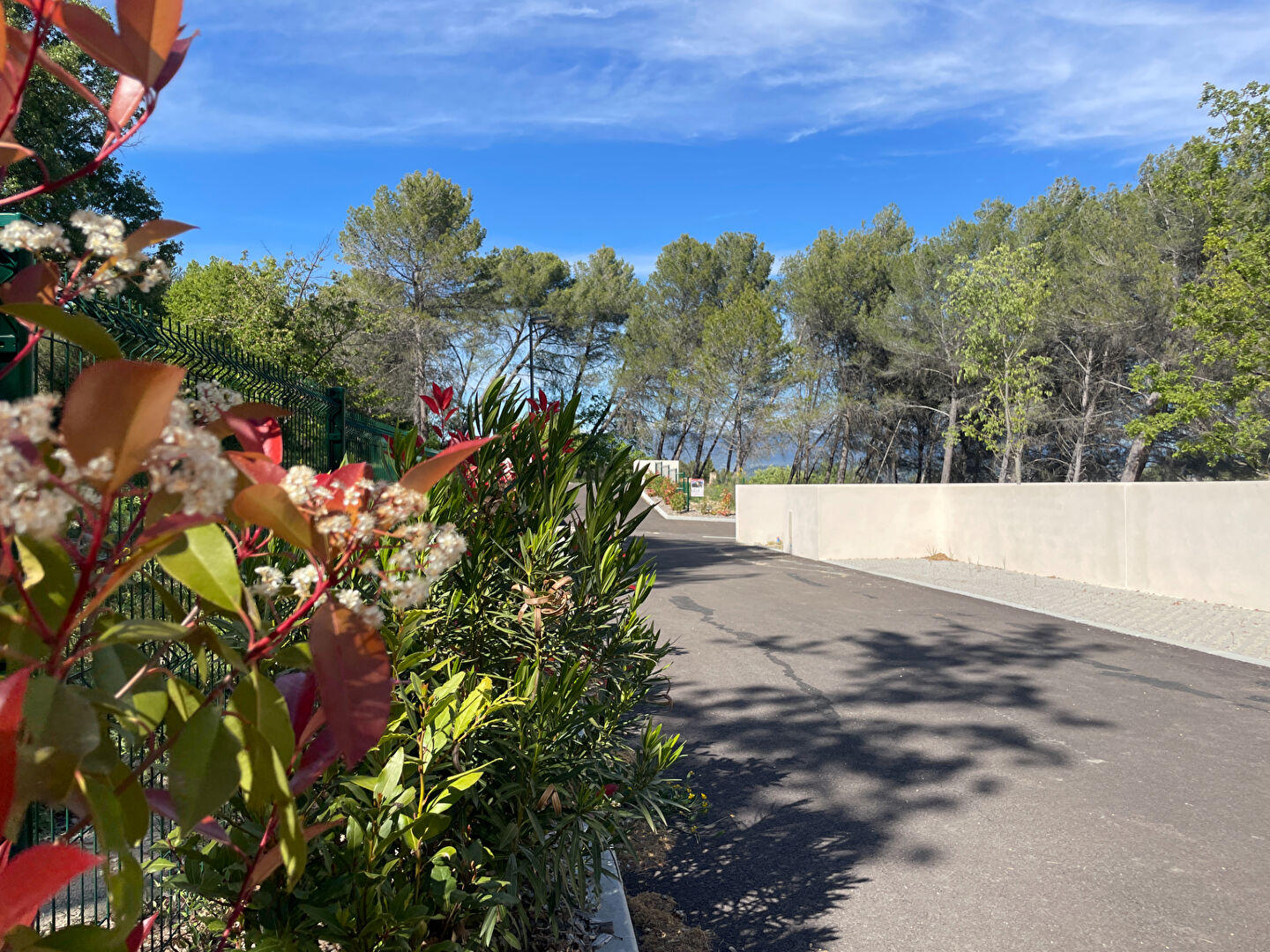 Vente Terrain de 431 m² - LA ROQUE D ANTHERON 13640 | IMOGROUP LA ROQUE D