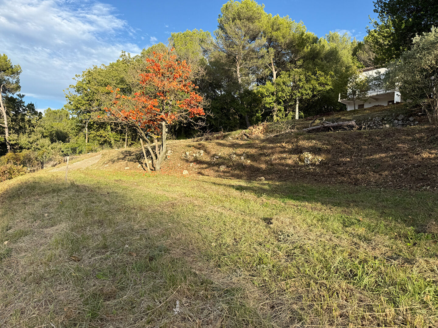 Photo Terrain  627 m2 avec permis accordé pour maison 98 m2 avec sous-sol image 2/5