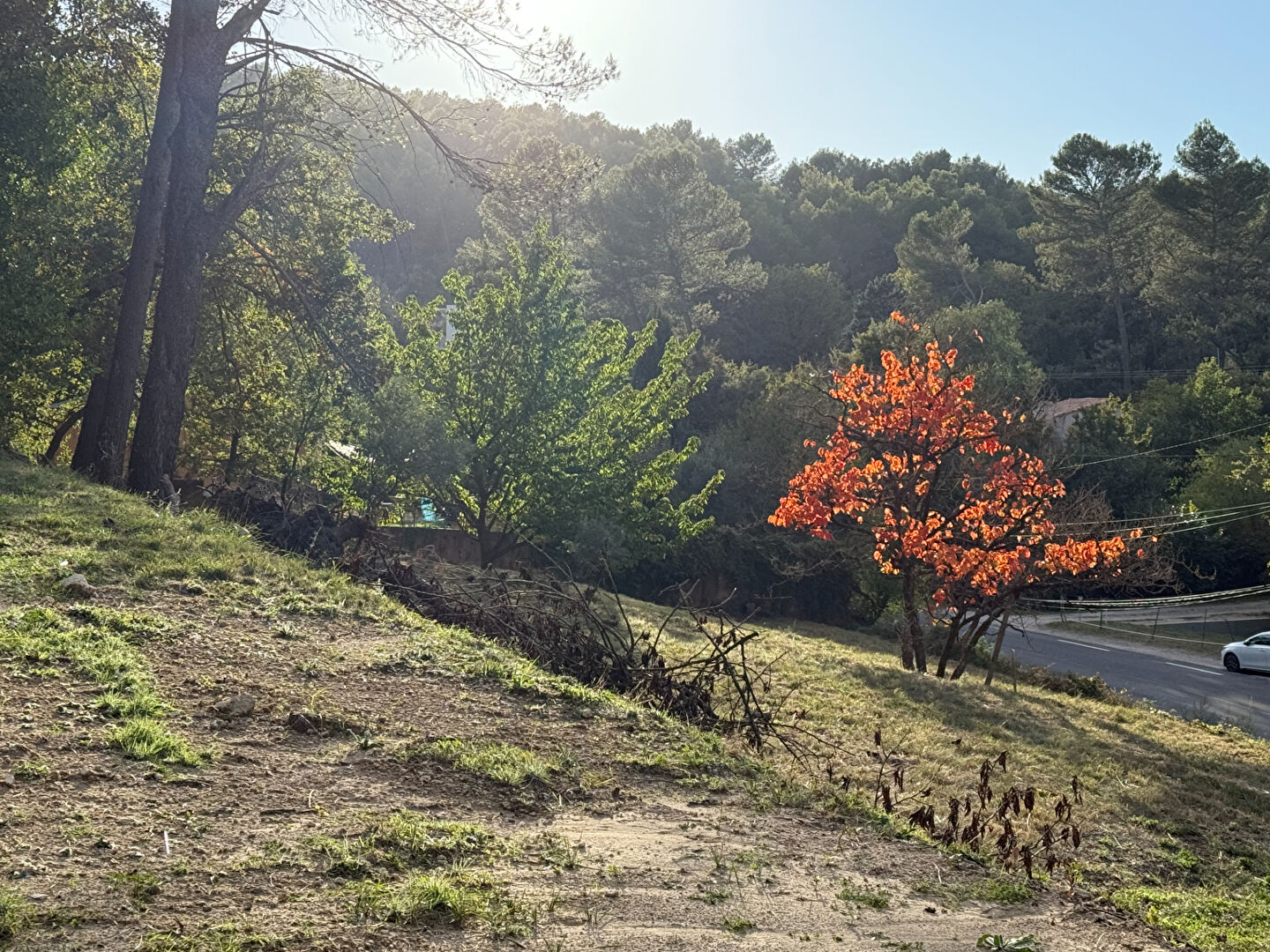 Photo Terrain  627 m2 avec permis accordé pour maison 98 m2 avec sous-sol image 3/5