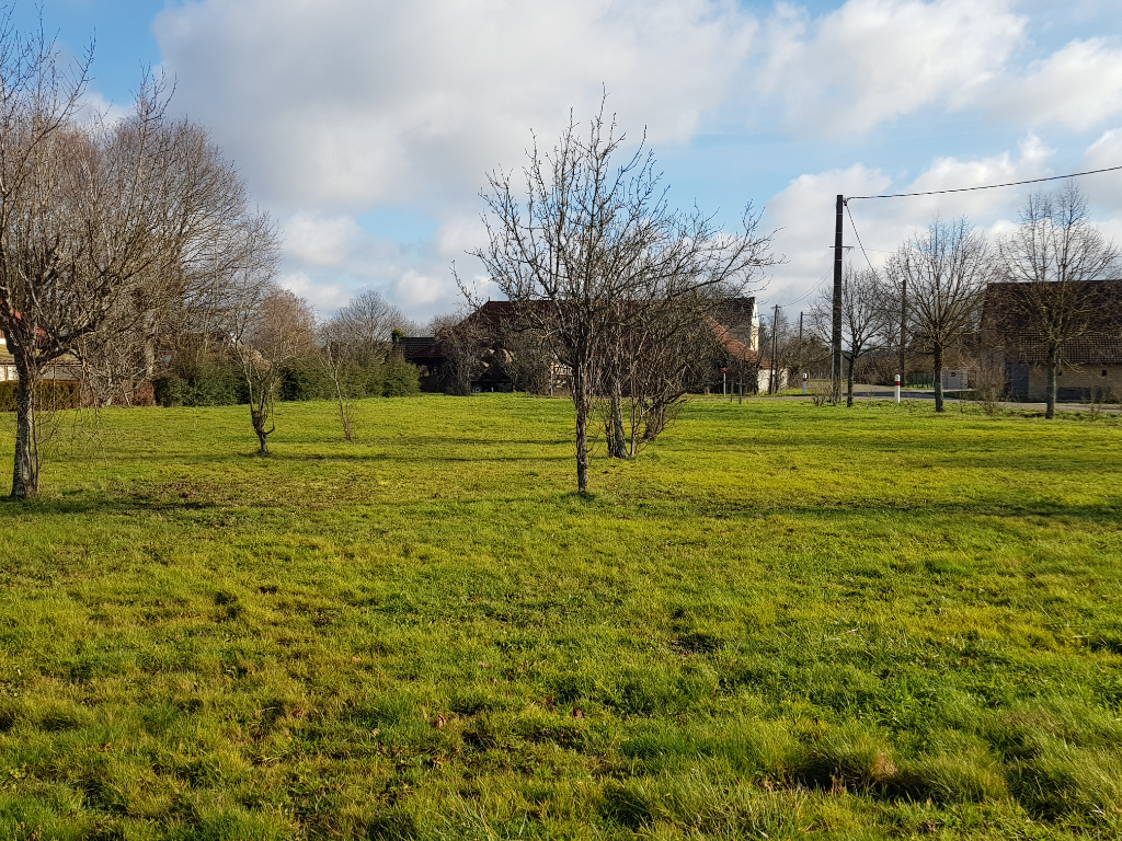 Vente Terrain de 2189 m² - CHAPELLE VOLAND 39140 | IMOGROUP LOUHANS - IMOGROUP photo1