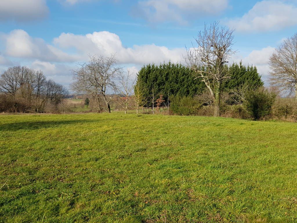 Vente Terrain de 1453 m² - CHAPELLE VOLAND 39140 | IMOGROUP LOUHANS - IMOGROUP photo1