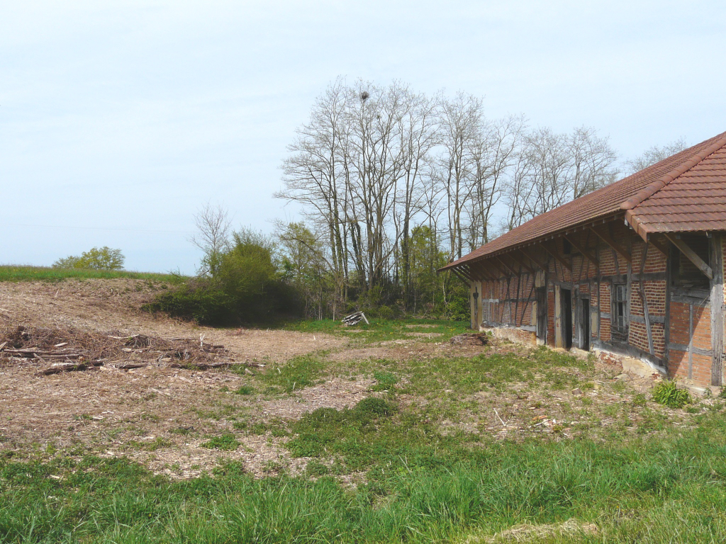 Vente Maison de 1 pièces 330 m² - SAINT TRIVIER DE COURTES 01560 | IMOGROUP SAINT TRIVIER DE COURTES - IMOGROUP photo5