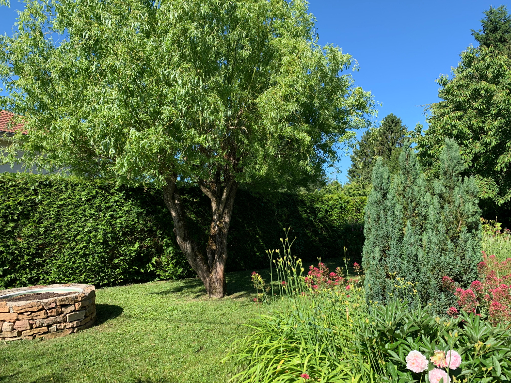 Vente Maison de 7 pièces 118 m² - TOURNUS 71700 | IMOGROUP TOURNUS - IMOGROUP photo3