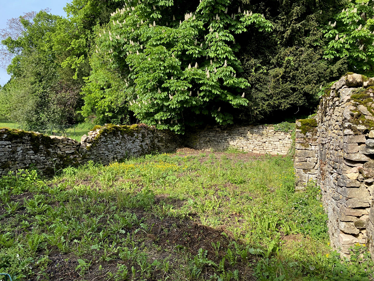 Photo A 10 MN DE TOURNUS image 5/6