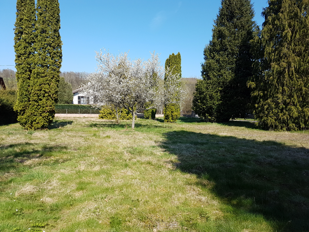 Agence immobilière de IM PLUS St die des vosges - IM PLUS