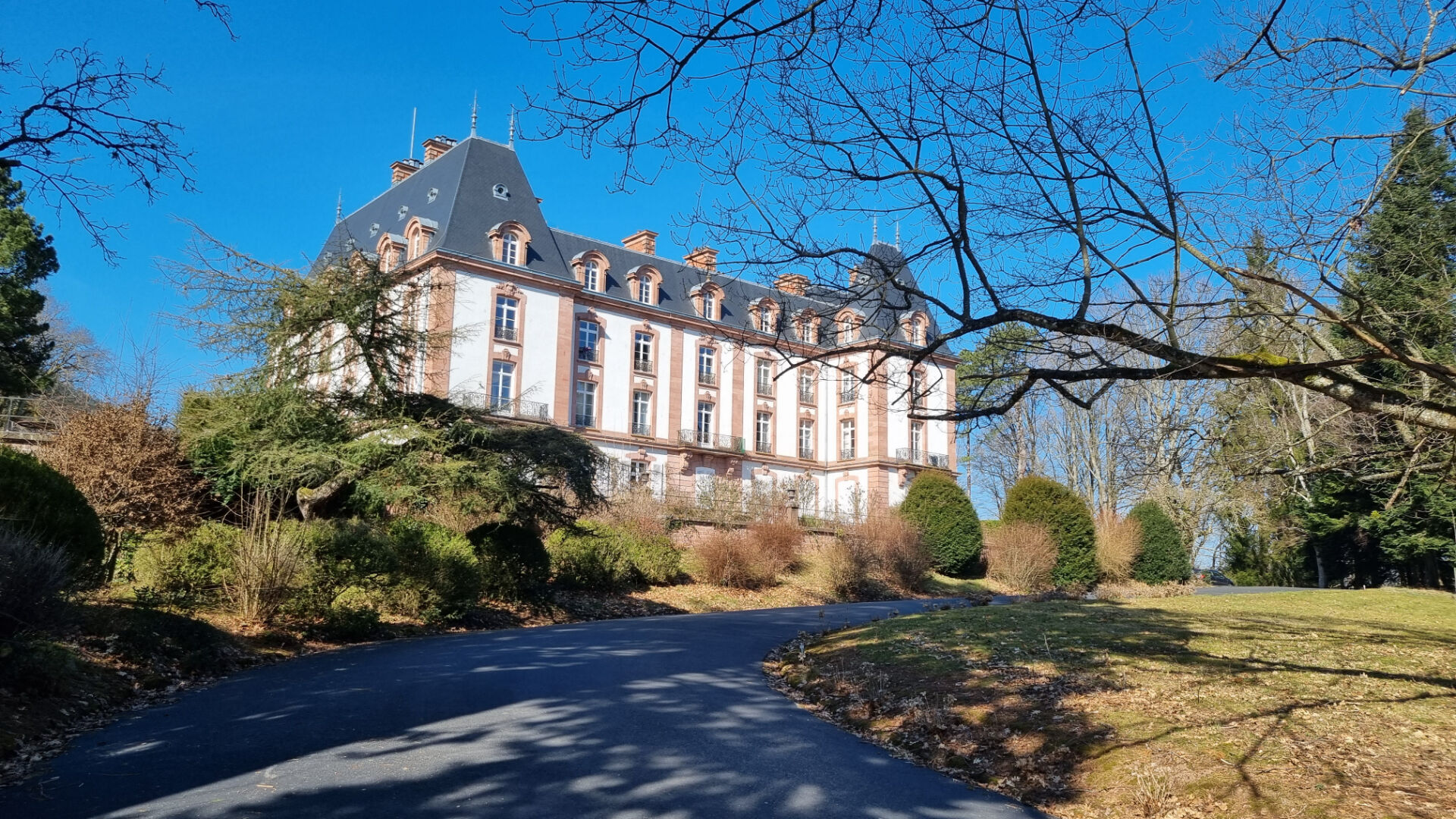 Agence immobilière de IM PLUS St die des vosges - IM PLUS