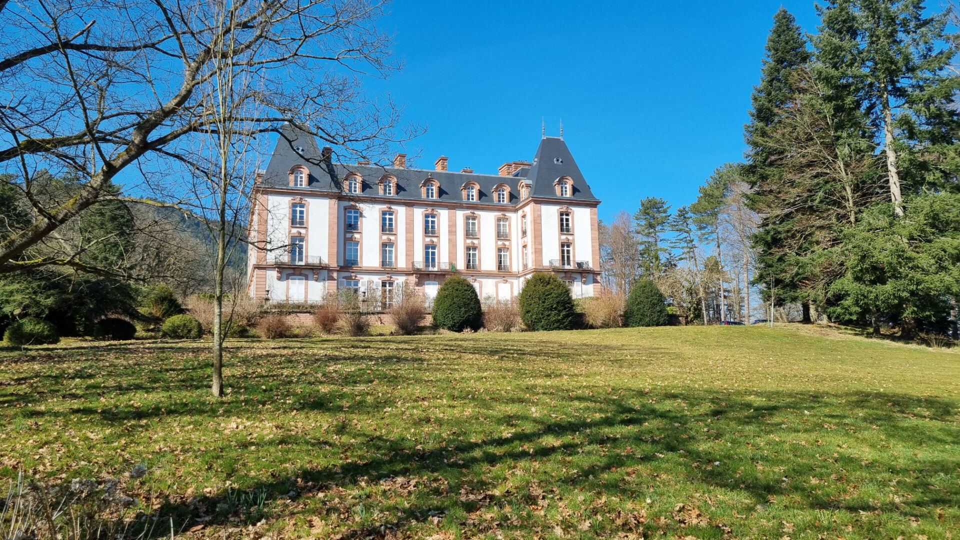 Photo Dans château de 1896 : Appartement Bourgeois SAINT-DIE - 8 pièce(s) - 357 m2 image 3/6