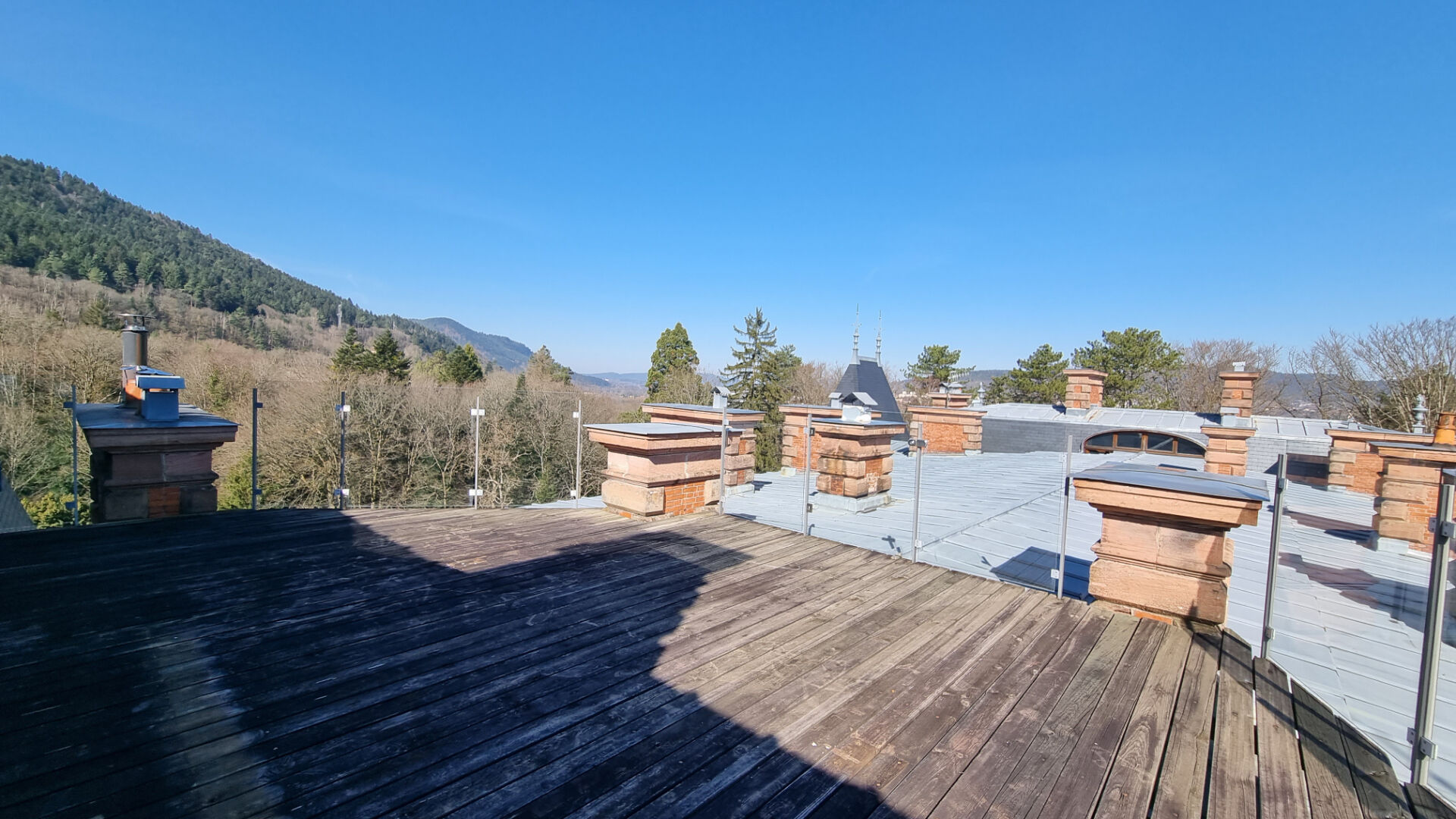 Photo Dans château de 1896 : Appartement Bourgeois SAINT-DIE - 8 pièce(s) - 357 m2 image 5/6